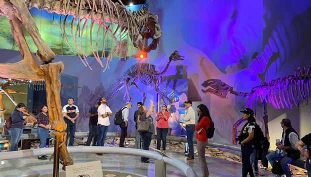 Saltillo Museum Tour - Photo 5