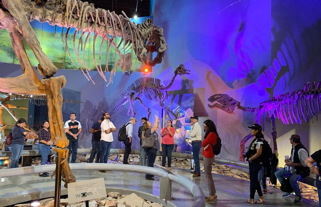 Saltillo Museum Tour - Photo 5