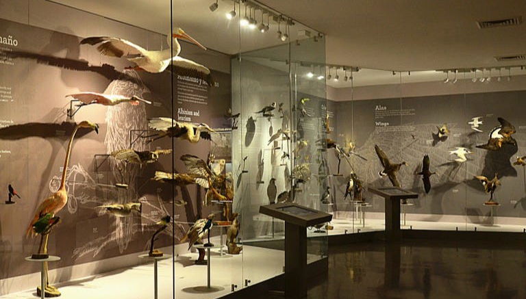 Saltillo Museum Tour - Photo 1