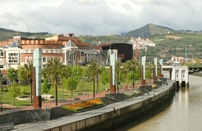 Estadio San Mamés y el Museo Guggenheim Bilbao - A partir de 2 personas - Foto 1