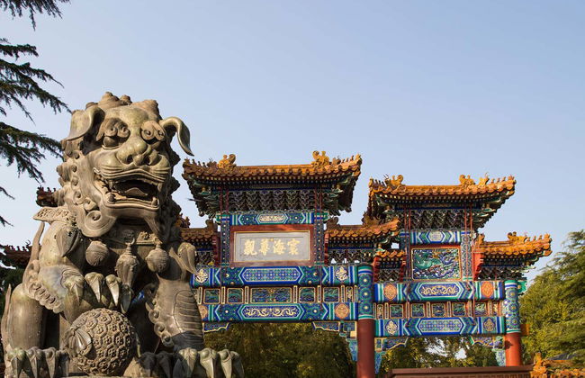 Tour del Tempio del Cielo e del Palazzo d'Estate - Foto 5