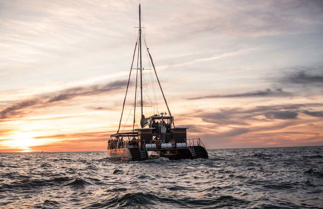 Cádiz Sunset Catamaran Tour - Foto 1