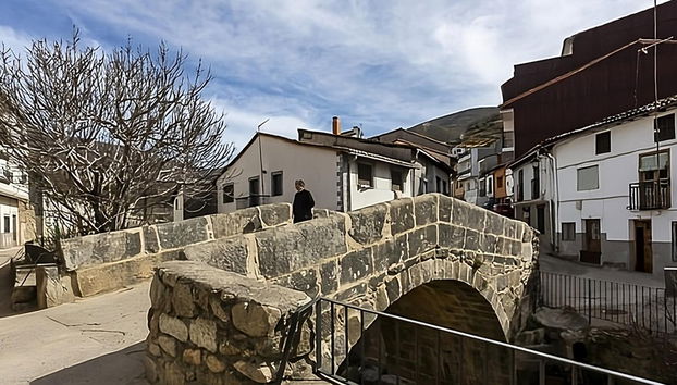 Visita guiada por Tornavacas - Foto 5