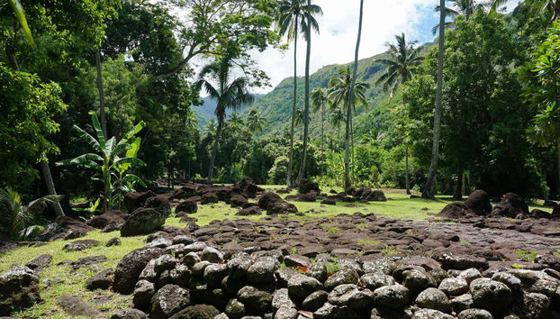 Private Tour of Tahiti - Foto 4