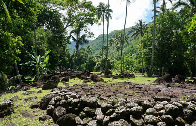 Private Tour of Tahiti - Foto 2