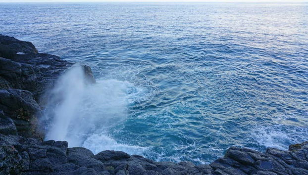 Tour privado por Tahití - Foto 5