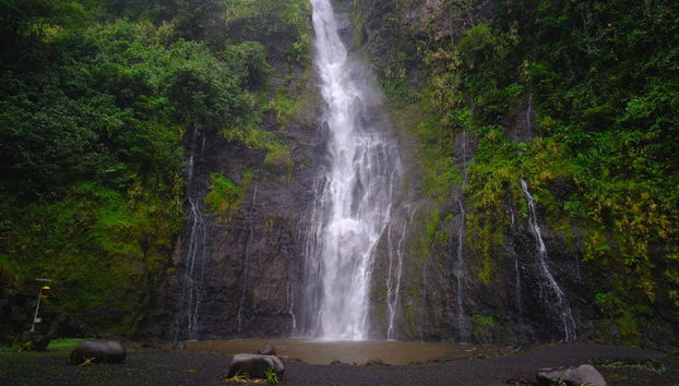 Private Tour of Tahiti - Foto 5