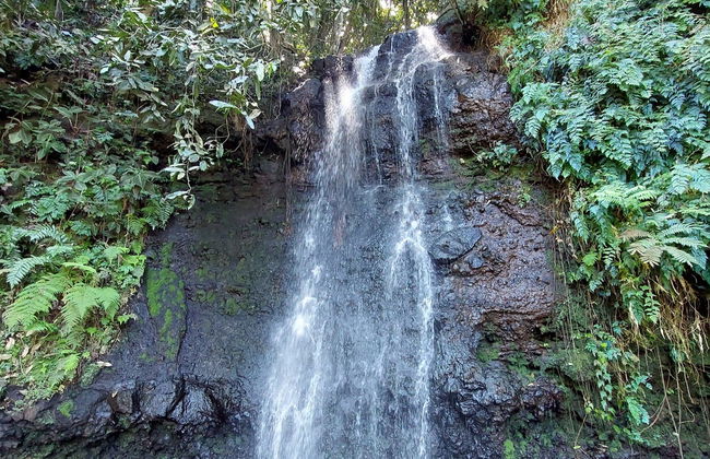 Private Tour of Tahiti - Foto 1