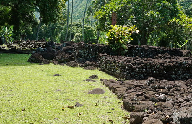 Private Tour of Tahiti - Foto 7