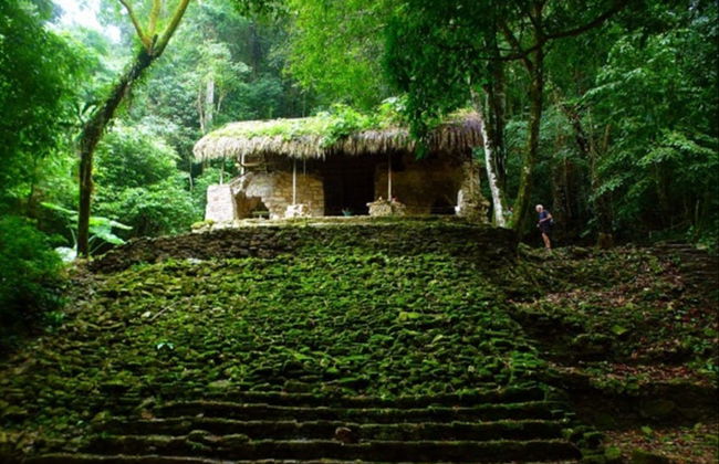 Tour privado por la zona arqueológica de Palenque - Foto 4