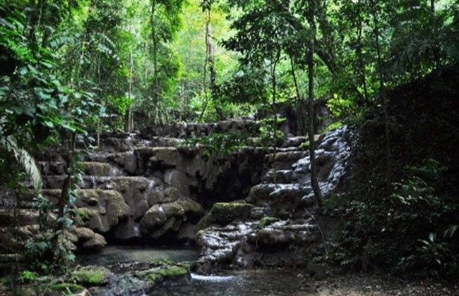 Tour privado por la zona arqueológica de Palenque - Foto 6