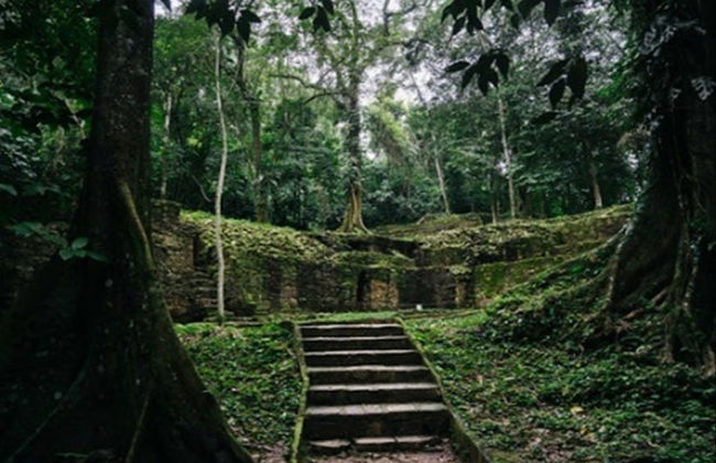 Tour privado por la zona arqueológica de Palenque - Foto 5