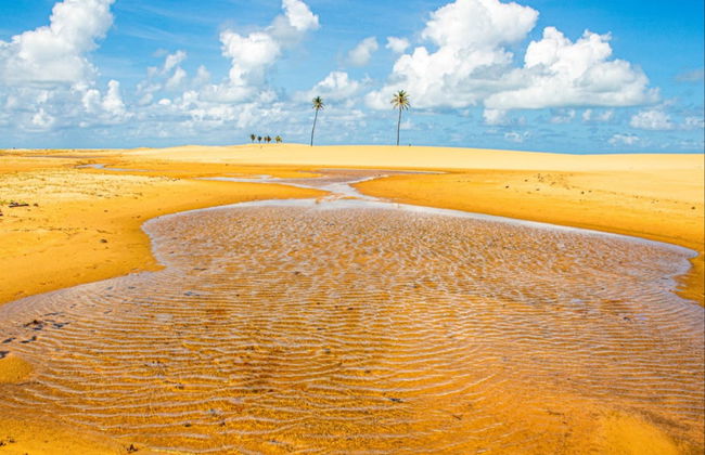 Excursão à foz do rio São Francisco - Foto 1