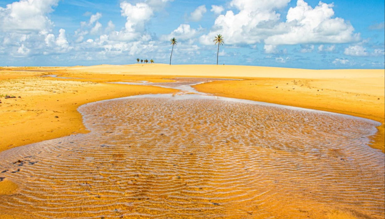 Excursão à foz do rio São Francisco - Foto 1
