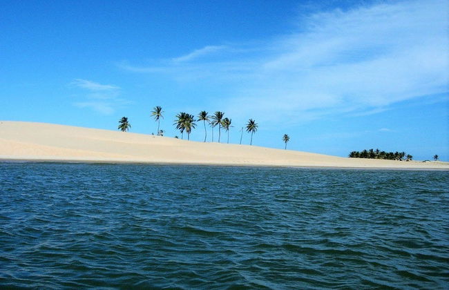 Excursão à foz do rio São Francisco - Foto 2