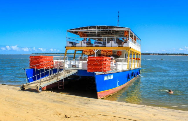 Excursão à foz do rio São Francisco - Foto 4