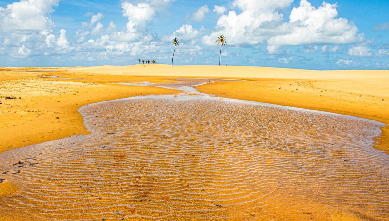 Excursão à foz do rio São Francisco - Foto 1