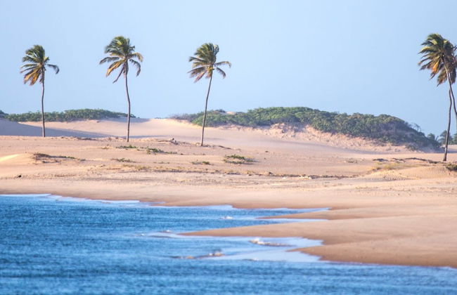 Excursão à foz do rio São Francisco - Foto 8
