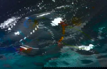 Snorkel nocturno en Moorea - Foto 8