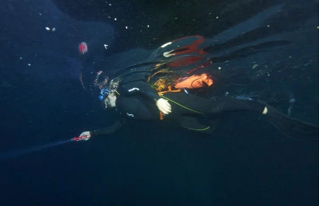 Snorkel nocturno en Moorea - Foto 2