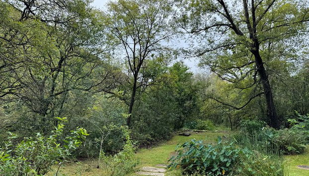 Descubre Parque Natural Estanzuela - Foto 2