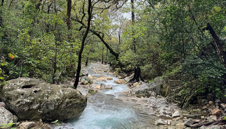 Descubre Parque Natural Estanzuela - Foto 1