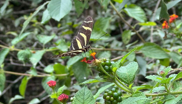 Descubre Parque Natural Estanzuela - Foto 5