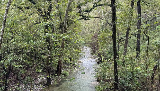 Descubre Parque Natural Estanzuela - Foto 4