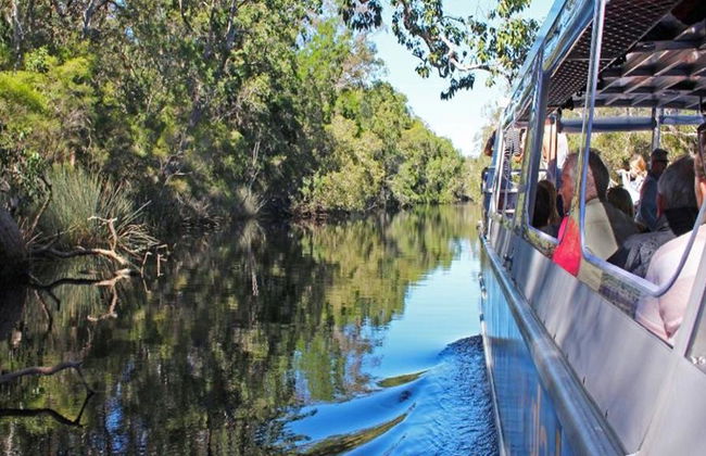 Noosa Everglades Serenity Cruise - Halbtagesausflug - Foto 5