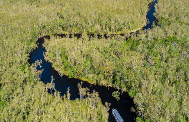 Noosa Everglades Serenity Cruise - Halbtagesausflug - Foto 4