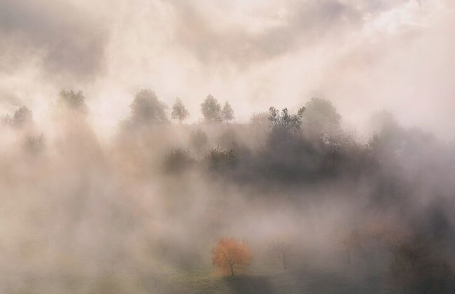 Bologna Umgebung Fototour: Rolling Hills und Ravines - Foto 7