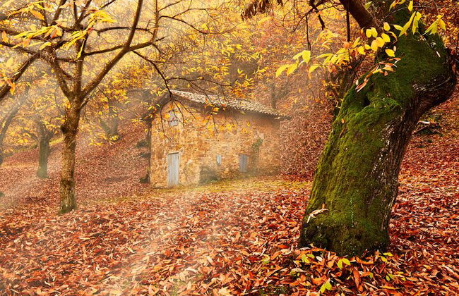 Bologna Umgebung Fototour: Rolling Hills und Ravines - Foto 10