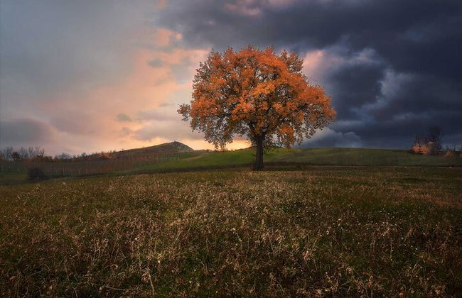 Bologna Umgebung Fototour: Rolling Hills und Ravines - Foto 15