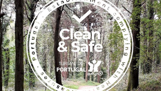 One Way Lisboa a Oporto, a través de Obidos, Nazare, Alcobaca y Aveiro - Foto 2