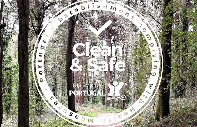 One Way Porto a Lisboa, a través de Aveiro, Nazare, Alcobaca y Obidos - Foto 2