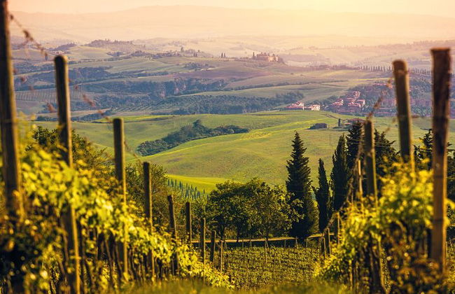 Desde Bolonia: experiencia de vino Chianti con almuerzo. - Foto 10