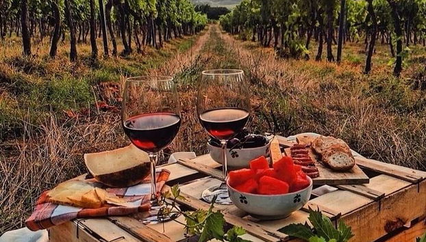 Desde Bolonia: experiencia de vino Chianti con almuerzo. - Foto 5