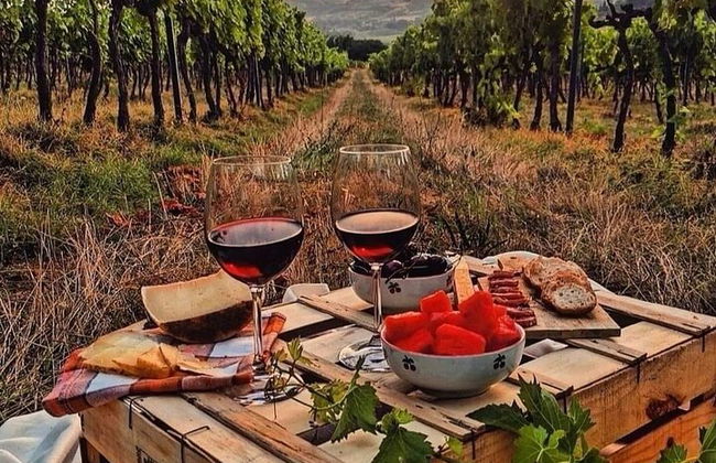 Desde Bolonia: experiencia de vino Chianti con almuerzo. - Foto 5