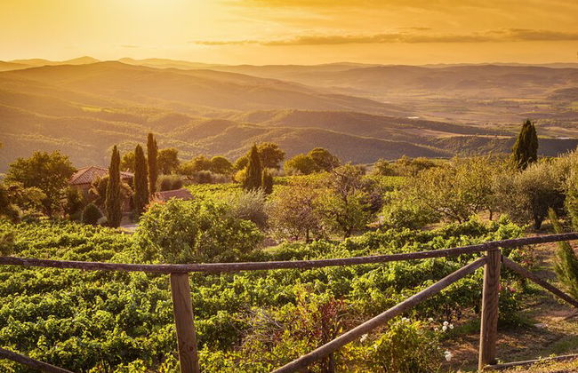 Desde Bolonia: experiencia de vino Chianti con almuerzo. - Foto 15