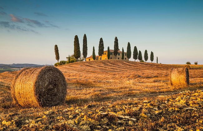 Desde Bolonia: experiencia de vino Chianti con almuerzo. - Foto 8