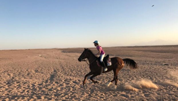 Esplora il deserto 2 ore a cavallo con trasferimento - Marsa Alam - Foto 5