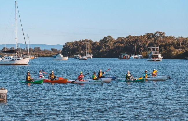 Excursión guiada en kayak por el río Noosa - Foto 3
