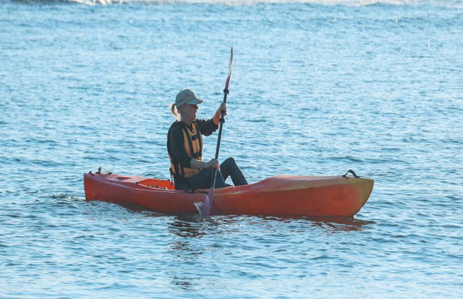 Excursión guiada en kayak por el río Noosa - Foto 2