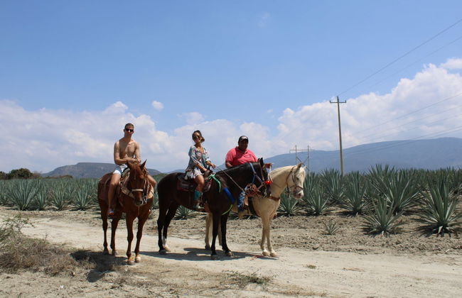 Paseo a caballo por Oaxaca - Foto 2