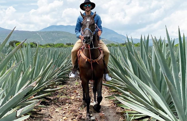 Paseo a caballo por Oaxaca - Foto 3