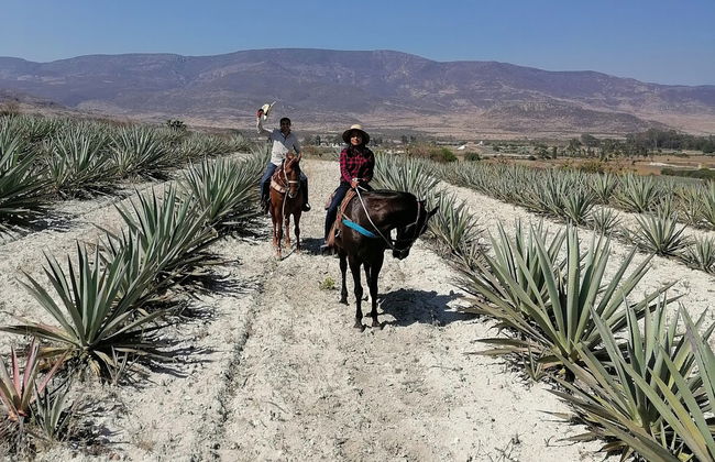Paseo a caballo por Oaxaca - Foto 4