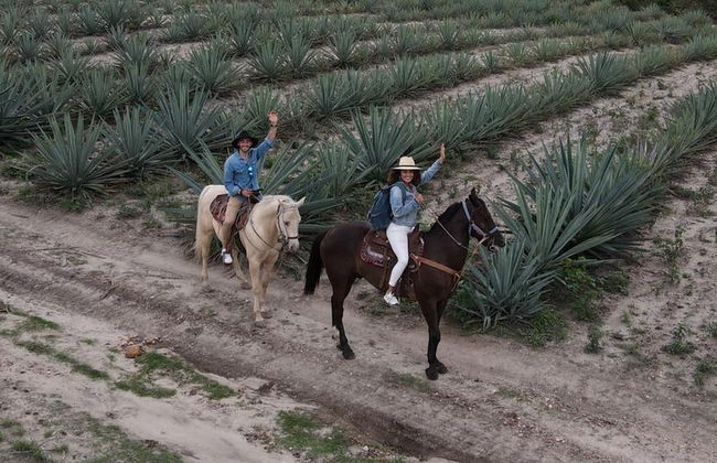 Paseo a caballo por Oaxaca - Foto 6