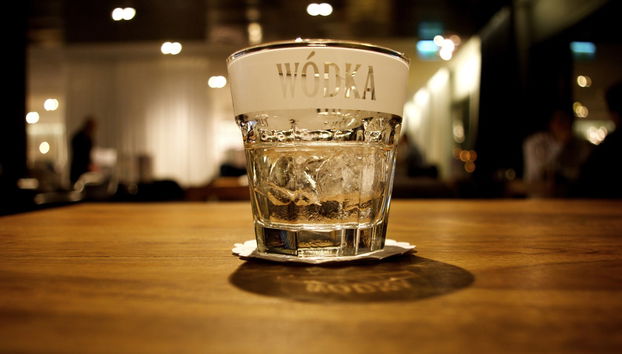 Polish Vodka Tour - Foto 3