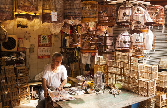 Visita guidata di Kowloon - Foto 1