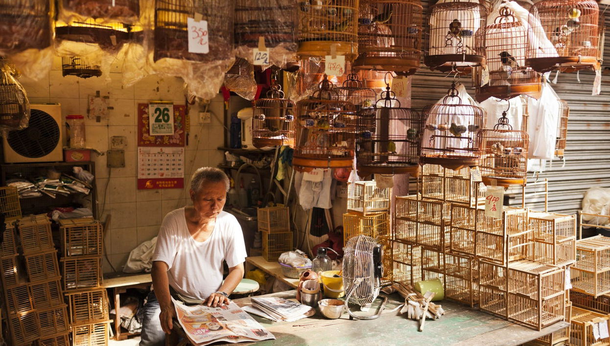 Kowloon Tour - Foto 1